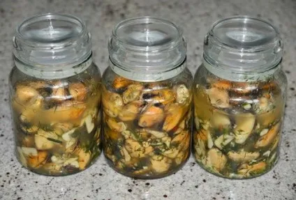 Мідії користь і шкода, рецепти, калорійність (мідії) Мідії користь і шкода, рецепти, калорійність