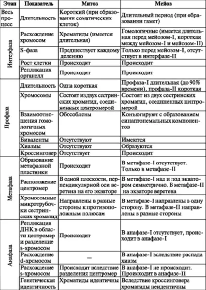 Мейоз і його фази - студопедія (посібник) Мейоз і його фази - студопедія