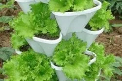 Багатоярусні грядки своїми руками зводимо новомодні конструкції (багатоярусні грядки своїми руками) Багатоярусні грядки своїми руками зводимо новомодні конструкції