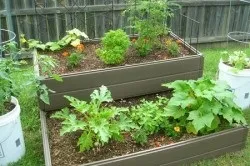Багатоярусні грядки своїми руками зводимо новомодні конструкції (багатоярусні) Багатоярусні грядки своїми руками зводимо новомодні конструкції