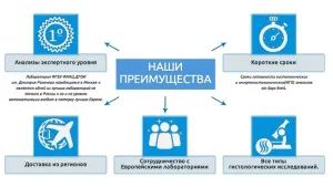 Морфологічна верифікація пухлин, блог unim (онкологія) Морфологічна верифікація пухлин, блог unim