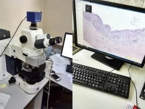 Морфологічна верифікація пухлин, блог unim (верифікація) Морфологічна верифікація пухлин, блог unim