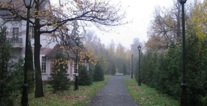 Музей Константина Васильева адреса, фото, час роботи, де знаходиться