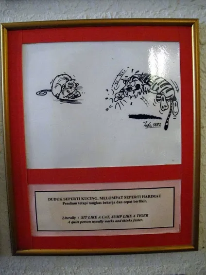 Музей кішок в малайзії це цікаво!