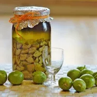 Настоянка бузку на горілці застосування, рецепти (рецепти) Настоянка бузку на горілці застосування, рецепти