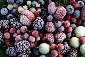 Настоянка з ягід на спирту (настоянка) Настоянка з ягід на спирту