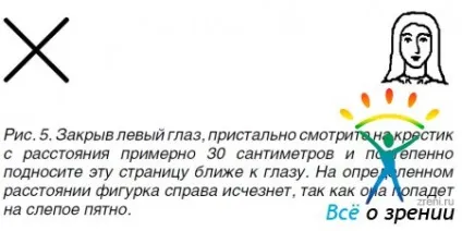 наш очей