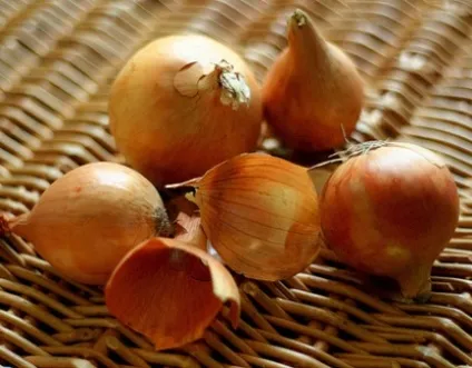 Народне лікування фіброаденоми молочної залози