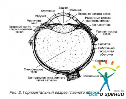 наш очей