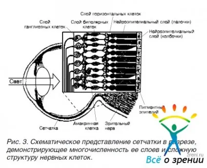 наш очей