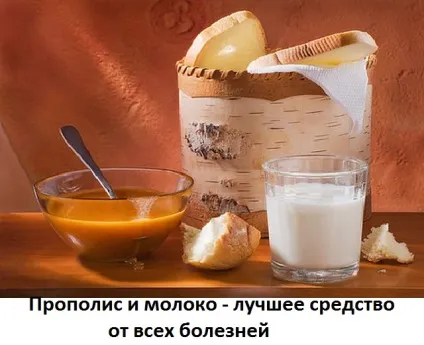 Настоянка прополісу з молоком, застосування, сайт про методи лікування докторів Неумивакіна, Болотова, (лікування народними засобами) Настоянка прополісу з молоком, застосування, сайт про методи лікування докторів Неумивакіна, Болотова,