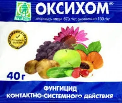 На листі винограду коричневі плями що робити, ніж лікувати (робити) На листі винограду коричневі плями що робити, ніж лікувати