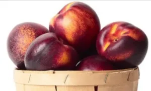 Нектарин (prunus persica) або сливовий персик корисний фрукт (сливовий) Нектарин (prunus persica) або сливовий персик корисний фрукт