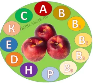 Нектарин (prunus persica) або сливовий персик корисний фрукт (prunus) Нектарин (prunus persica) або сливовий персик корисний фрукт