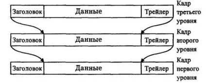 Призначення пакетів і їх структура - life-prog (структура) Призначення пакетів і їх структура - life-prog
