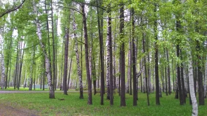 Ніч музеїв в Уфі або як я побував у музеї бойової слави - блог роману стеценко (музеї) Ніч музеїв в Уфі або як я побував у музеї бойової слави - блог роману стеценко