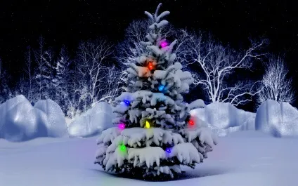 Новорічна ялинка фото новорічної ялинки (новорічної) Новорічна ялинка фото новорічної ялинки