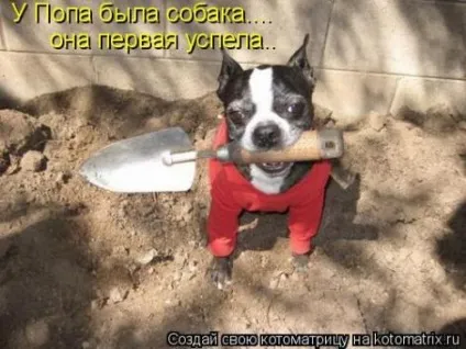 Ну як ваш настрій - поради для жінок онлайн (гості) Ну як ваш настрій - поради для жінок онлайн