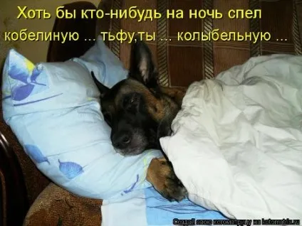 Ну як ваш настрій - поради для жінок онлайн (Провідна відповіді дітей) Ну як ваш настрій - поради для жінок онлайн