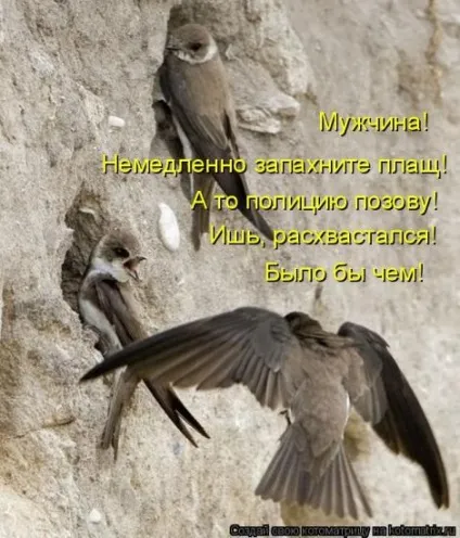 Ну як ваш настрій - поради для жінок онлайн (мишенята) Ну як ваш настрій - поради для жінок онлайн