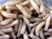 Додання опариша запаху і кольору (приготування) Додання опариша запаху і кольору