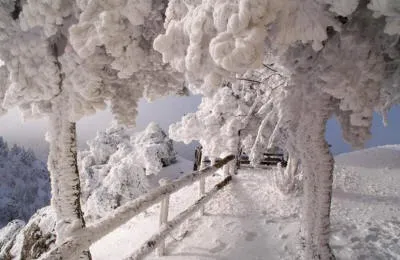 Природа - красиві анімації рухомі картинки, великі фотографії (анімації) Природа - красиві анімації рухомі картинки, великі фотографії