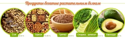 Продукти, багаті білком