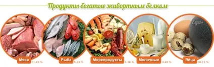 Продукти, багаті білком