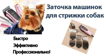 Професійна заточка ножів машинок для стрижки волосся, лез машинок для стрижки собак в Москві (заточка лез) Професійна заточка ножів машинок для стрижки волосся, лез машинок для стрижки собак в москві
