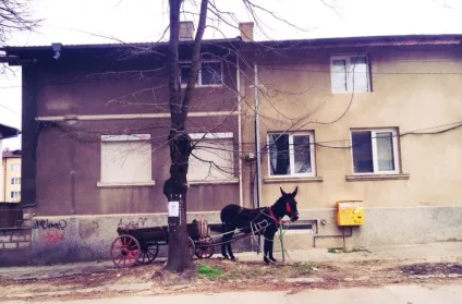 Проблеми в поведінці стаффа