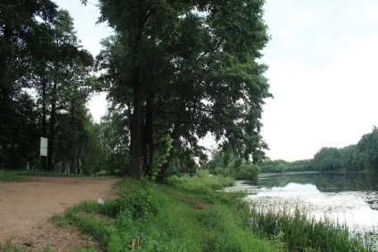 Природно-історичний парк - Кузьменко лісові озера в центрі Москви, клуб мандрівників Лукас тур (парк) Природно-історичний парк - Кузьменко лісові озера в центрі Москви, клуб мандрівників Лукас тур