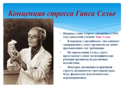 За яких проблемах зі шлунком корисно застосування обліпихової олії і як його правильно
