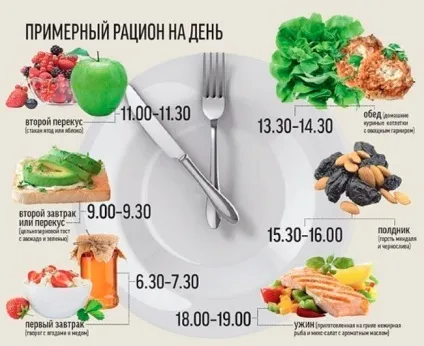 Продукти, багаті білком