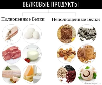 Продукти, багаті білком