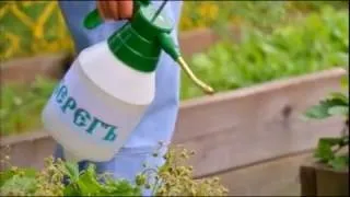Оберіг для городу
