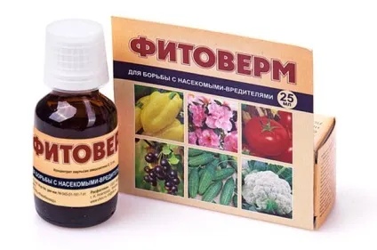 Обробка теплиці від павутинного кліща огляд методів (обробка) Обробка теплиці від павутинного кліща огляд методів