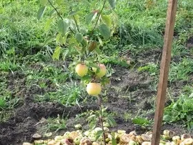 Одна людина постраждала під час пожежі в квартирі на південному сході Москви (один) Одна людина постраждала під час пожежі в квартирі на південному сході Москви