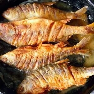 Окунь корисні властивості і шкода, food and health (річковий окунь) Окунь корисні властивості і шкода, food and health
