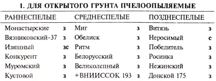 Огірки в теплиці - вибір сорту, вирощування і догляд, інструкції (огірки) Огірки в теплиці - вибір сорту, вирощування і догляд, інструкції