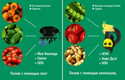 Огляд систем крапельного поливу крапля, жук, кпк, АКВАДОМ, моя фазенда (кпк) Огляд систем крапельного поливу крапля, жук, кпк, АКВАДОМ, моя фазенда