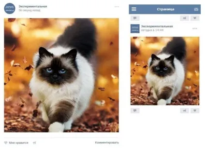 Оформляємо групу вконтакте правильно, Ліон (smm) Оформляємо групу вконтакте правильно, Ліон