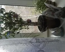 Орігамі з паперу за схемами, фото і відео уроки орігамі з паперу (орігамі з паперу) Орігамі з паперу за схемами, фото і відео уроки орігамі з паперу