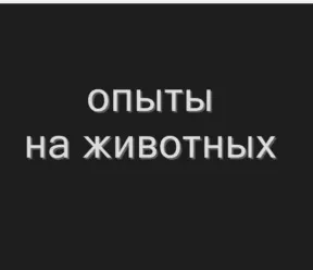 Досліди над тваринами чи виправдані жертви (досліди) Досліди над тваринами чи виправдані жертви