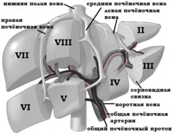 Операції на печінці