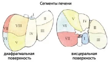 Операції на печінці