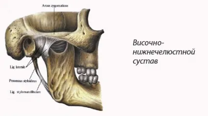 Остеонекроз нижньої щелепи симптоми, діагностика, лікування (нижньої) Остеонекроз нижньої щелепи симптоми, діагностика, лікування