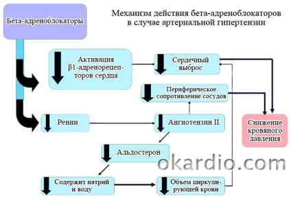 Від чого допомагає анаприлин від яких хвороб і симптомів (чого) Від чого допомагає анаприлин від яких хвороб і симптомів