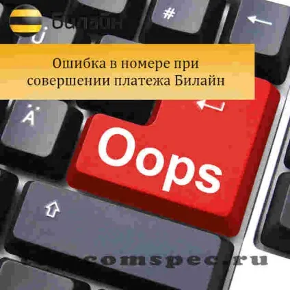 Помилковий платіж билайн як повернути гроші (помилковий) Помилковий платіж билайн як повернути гроші