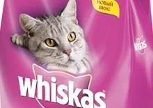 Відмінність whiskas від kitekat