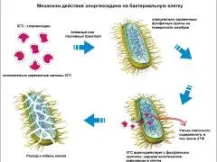 Від яких недуг допомагає полоскання хлоргексидином (хлоргексидином) Від яких недуг допомагає полоскання хлоргексидином